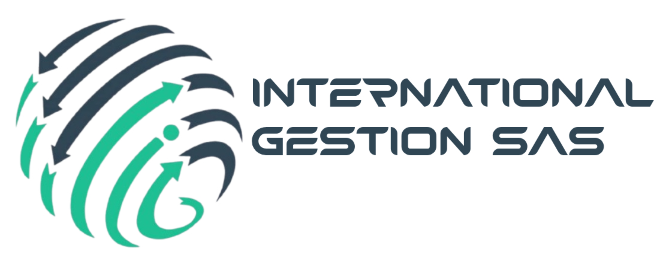 International Gestion